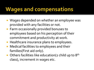    Wages depended on whether an employee was
    provided with any facilities or not.
   Farm occasionally provided bonuses to
    employees based on his perception of their
    commitment and productivity at work.
   Healthcare insurance plans to employees.
   Medical facilities to employees and their
    families(First aid only).
   Others facilities like education(2 child up to 8th
    class), increment in wages etc.
 