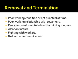    Poor working condition or not punctual at time.
   Poor working relationship with coworkers.
   Persistently refusing to follow the milking routines.
   Alcoholic nature.
   Fighting with workers.
   Bad verbal communication
 