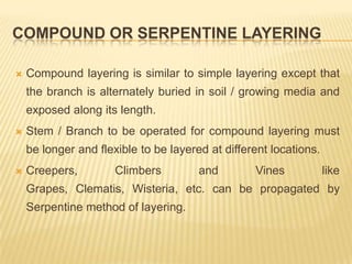 Compound Layering Method New microsoft office power point presentation | PPTX