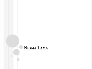 NIGMA LAMA
 