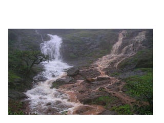 pune ture