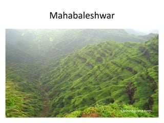 Mahabaleshwar
 