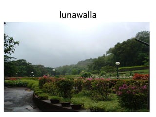 lunawalla
 