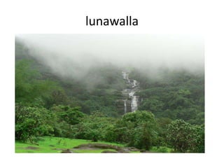 lunawalla
 