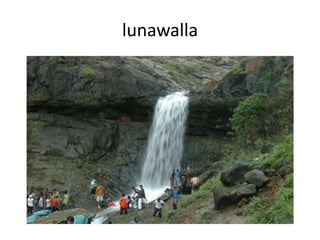 lunawalla
 