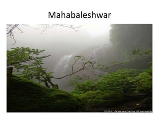 Mahabaleshwar
 