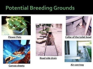 Flower Pots Collar of the toilet bowl
Road side drain
Canvas sheets Air-con tray
 