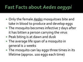  Only the female Aedes mosquitoes bite and
take in blood to produce and develop eggs
 The mosquito becomes infective 7 days after
it has bitten a person carrying the virus
 Peak biting is at dawn and dusk
 The average life span of a mosquito in
general is 2 weeks
 The mosquito can lay eggs three times in its
lifetime (approx. 100 eggs each time)
 