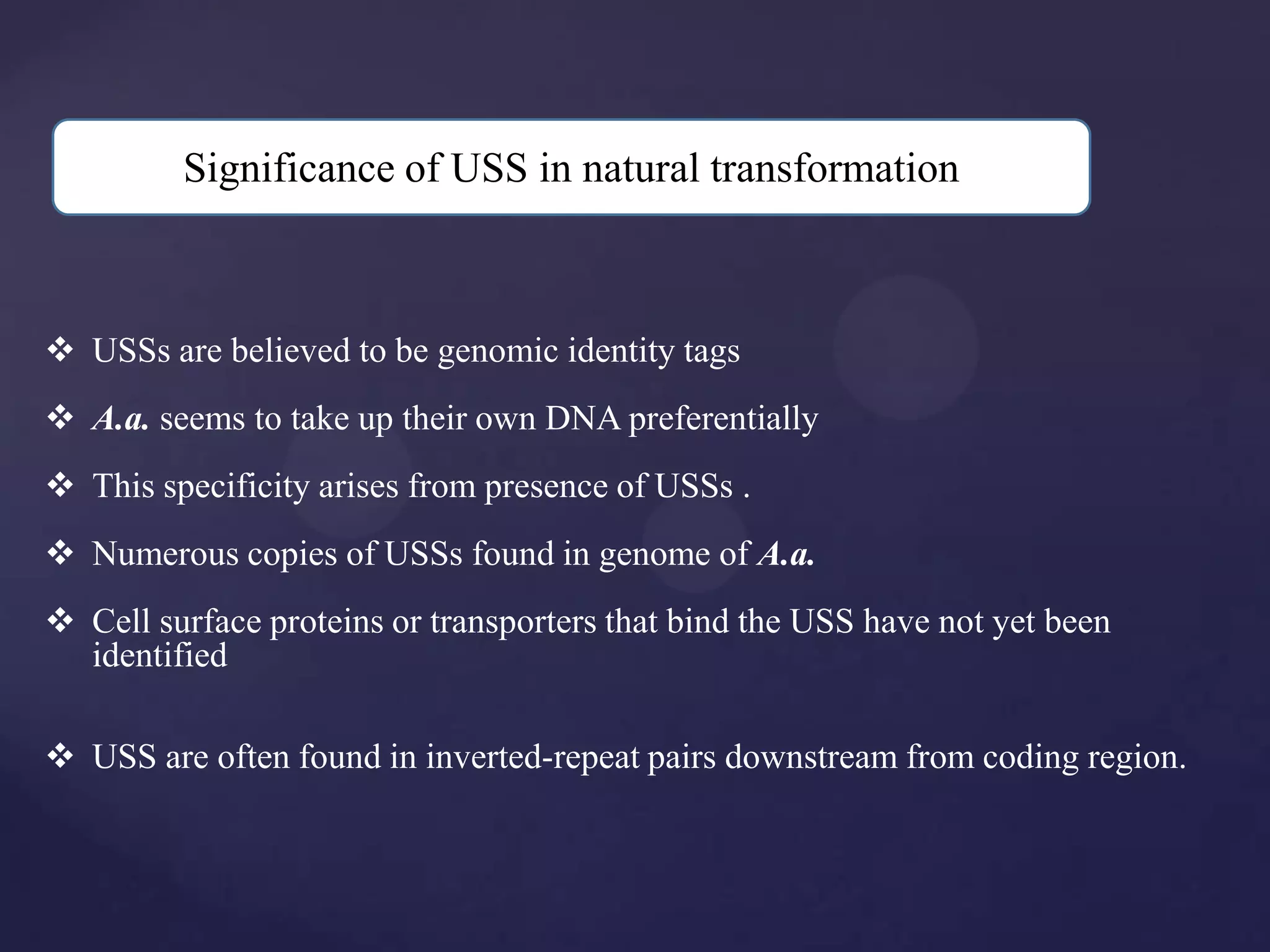 Significance of USS in natural transformation



 USSs are believed to be genomic identity tags
 A.a. seems to take up their own DNA preferentially
 This specificity arises from presence of USSs .
 Numerous copies of USSs found in genome of A.a.
 Cell surface proteins or transporters that bind the USS have not yet been
  identified

 USS are often found in inverted-repeat pairs downstream from coding region.
 