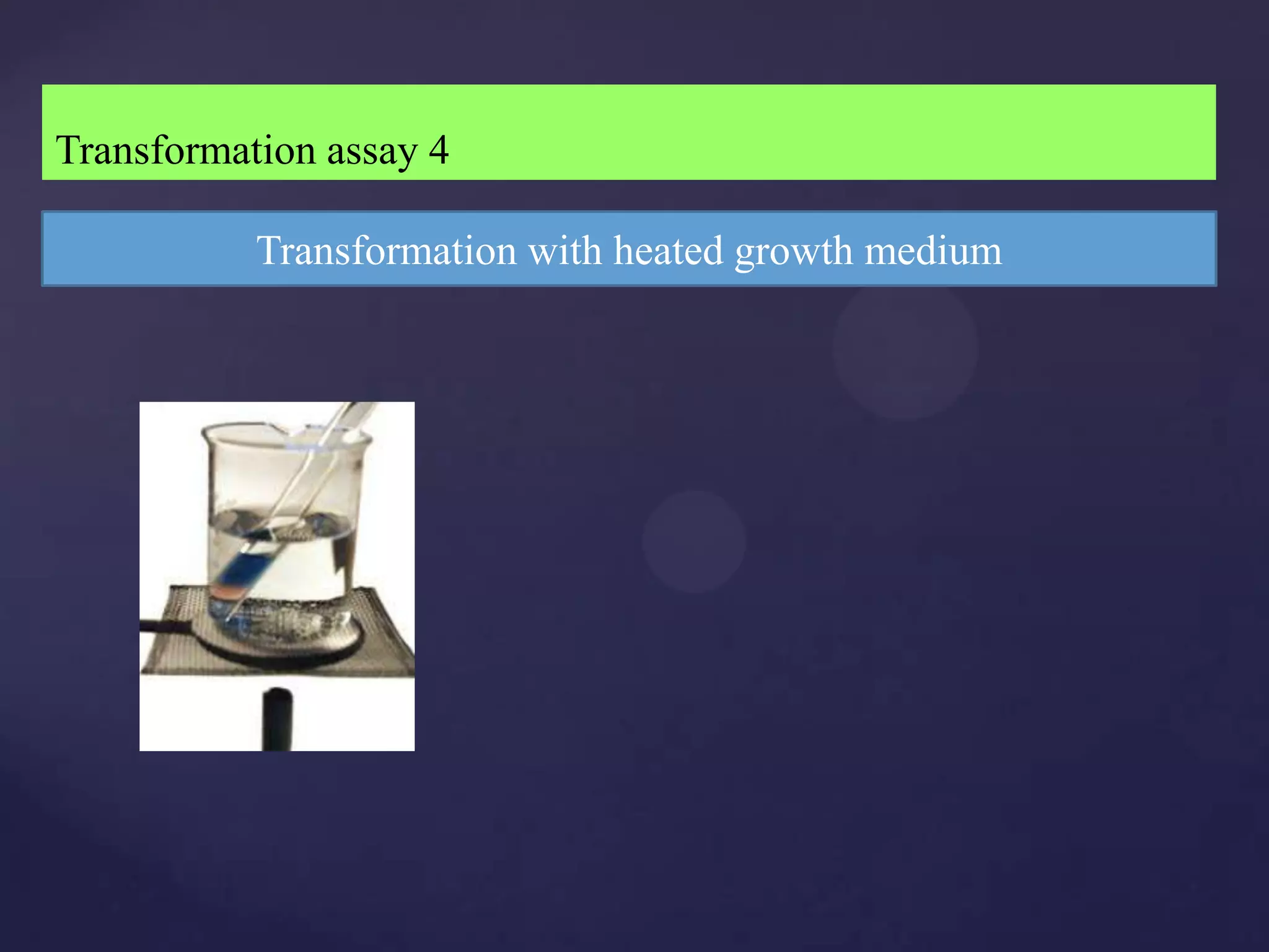 Transformation assay 4

           Transformation with heated growth medium
 