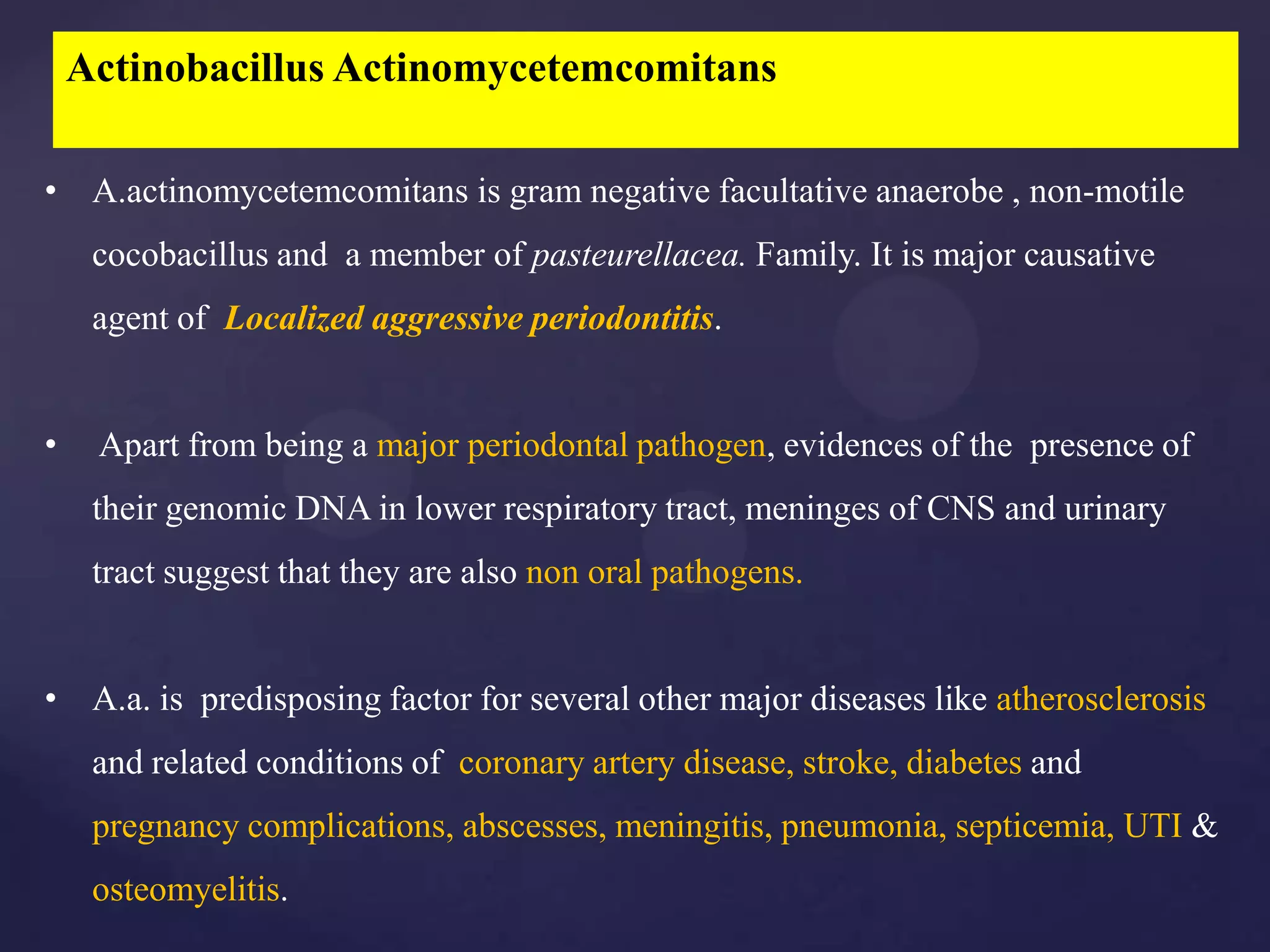 Actinobacillus Actinomycetemcomitans

• A.actinomycetemcomitans is gram negative facultative anaerobe , non-motile
     cocobacillus and a member of pasteurellacea. Family. It is major causative
     agent of Localized aggressive periodontitis.


•    Apart from being a major periodontal pathogen, evidences of the presence of
     their genomic DNA in lower respiratory tract, meninges of CNS and urinary
     tract suggest that they are also non oral pathogens.


• A.a. is predisposing factor for several other major diseases like atherosclerosis
     and related conditions of coronary artery disease, stroke, diabetes and
     pregnancy complications, abscesses, meningitis, pneumonia, septicemia, UTI &
     osteomyelitis.
 