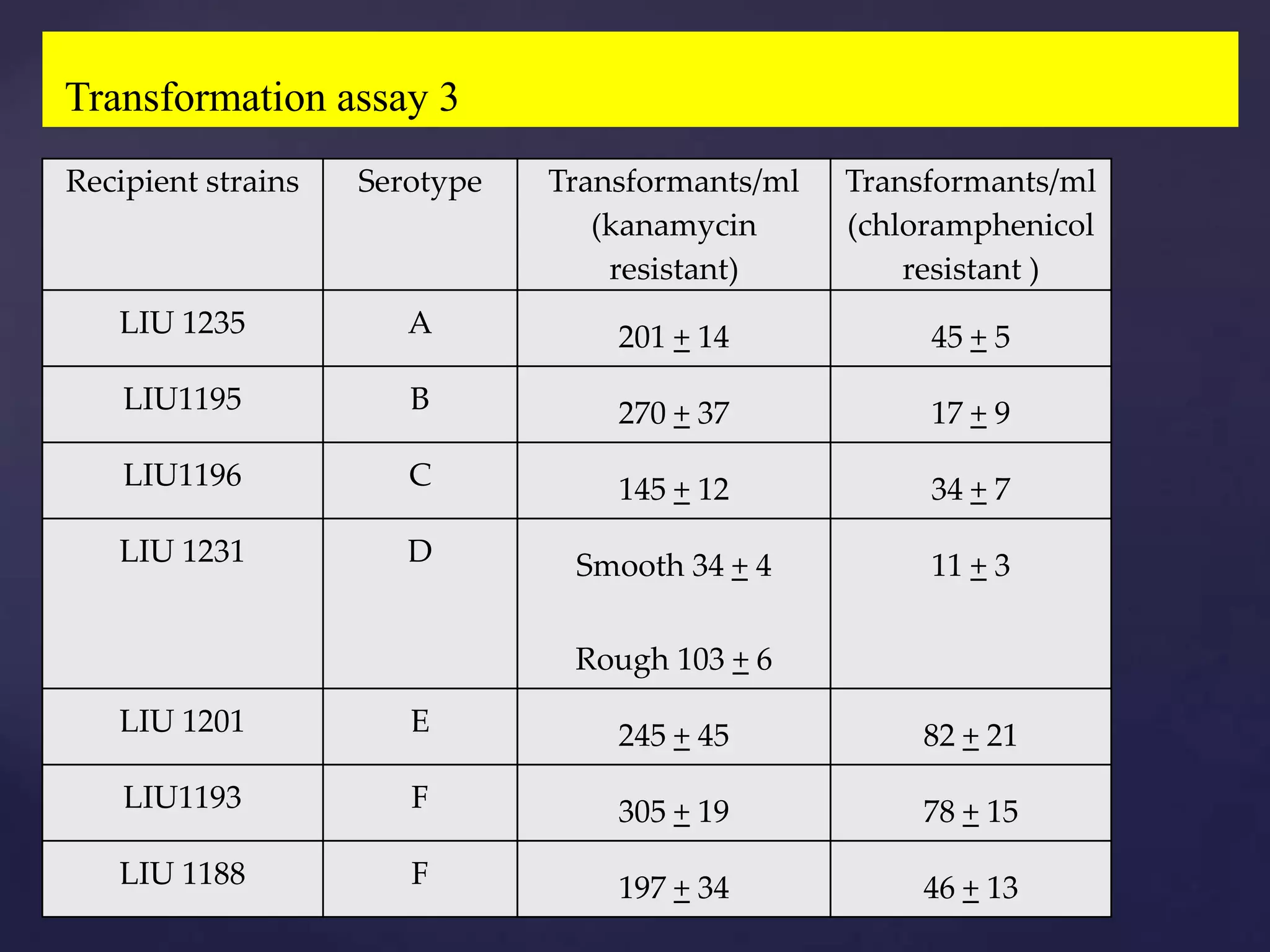 Transformation assay 3
Recipient strains   Serotype   Transformants/ml   Transformants/ml
                                  (kanamycin      (chloramphenicol
                                   resistant)         resistant )
   LIU 1235            A           201 + 14            45 + 5
    LIU1195            B           270 + 37            17 + 9
    LIU1196            C           145 + 12            34 + 7
   LIU 1231            D        Smooth 34 + 4          11 + 3

                                Rough 103 + 6
   LIU 1201            E           245 + 45           82 + 21
    LIU1193            F           305 + 19           78 + 15
   LIU 1188            F           197 + 34           46 + 13
 