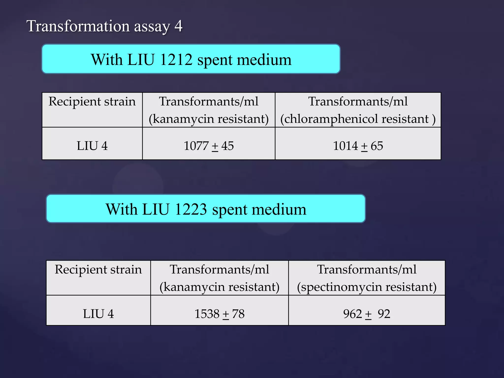 Transformation assay 4

          With LIU 1212 spent medium

   Recipient strain      Transformants/ml         Transformants/ml
                       (kanamycin resistant) (chloramphenicol resistant )

        LIU 4                1077 + 45                 1014 + 65




             With LIU 1223 spent medium


    Recipient strain      Transformants/ml          Transformants/ml
                        (kanamycin resistant)   (spectinomycin resistant)

         LIU 4                1538 + 78                 962 + 92
 