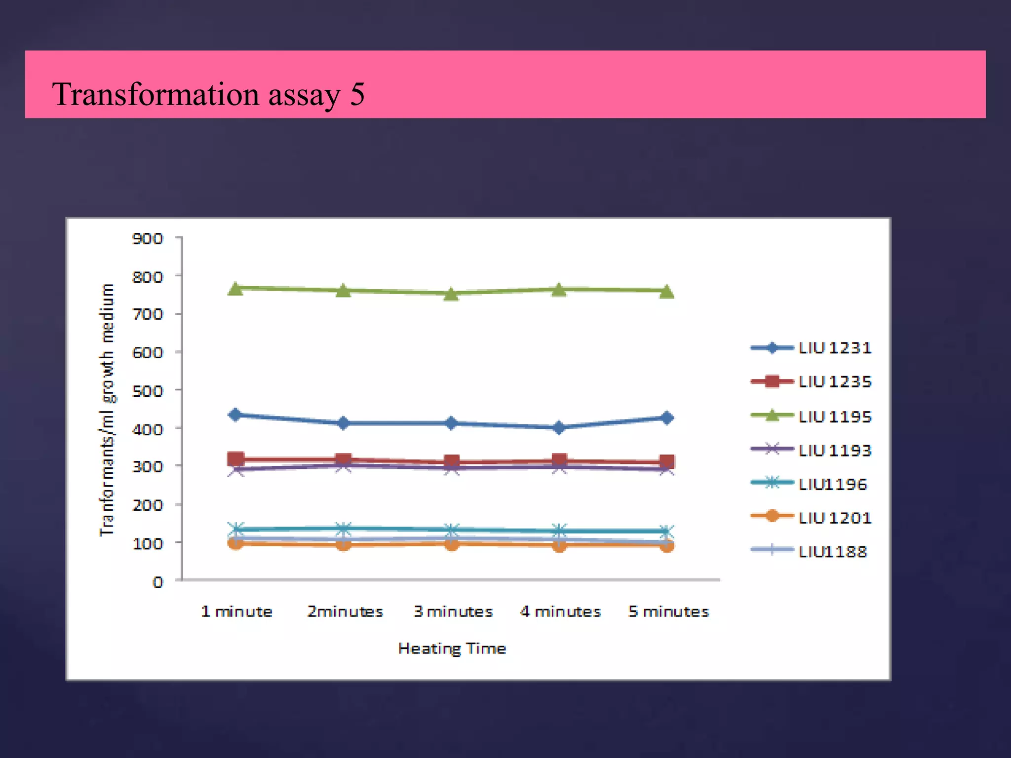Transformation assay 5
 