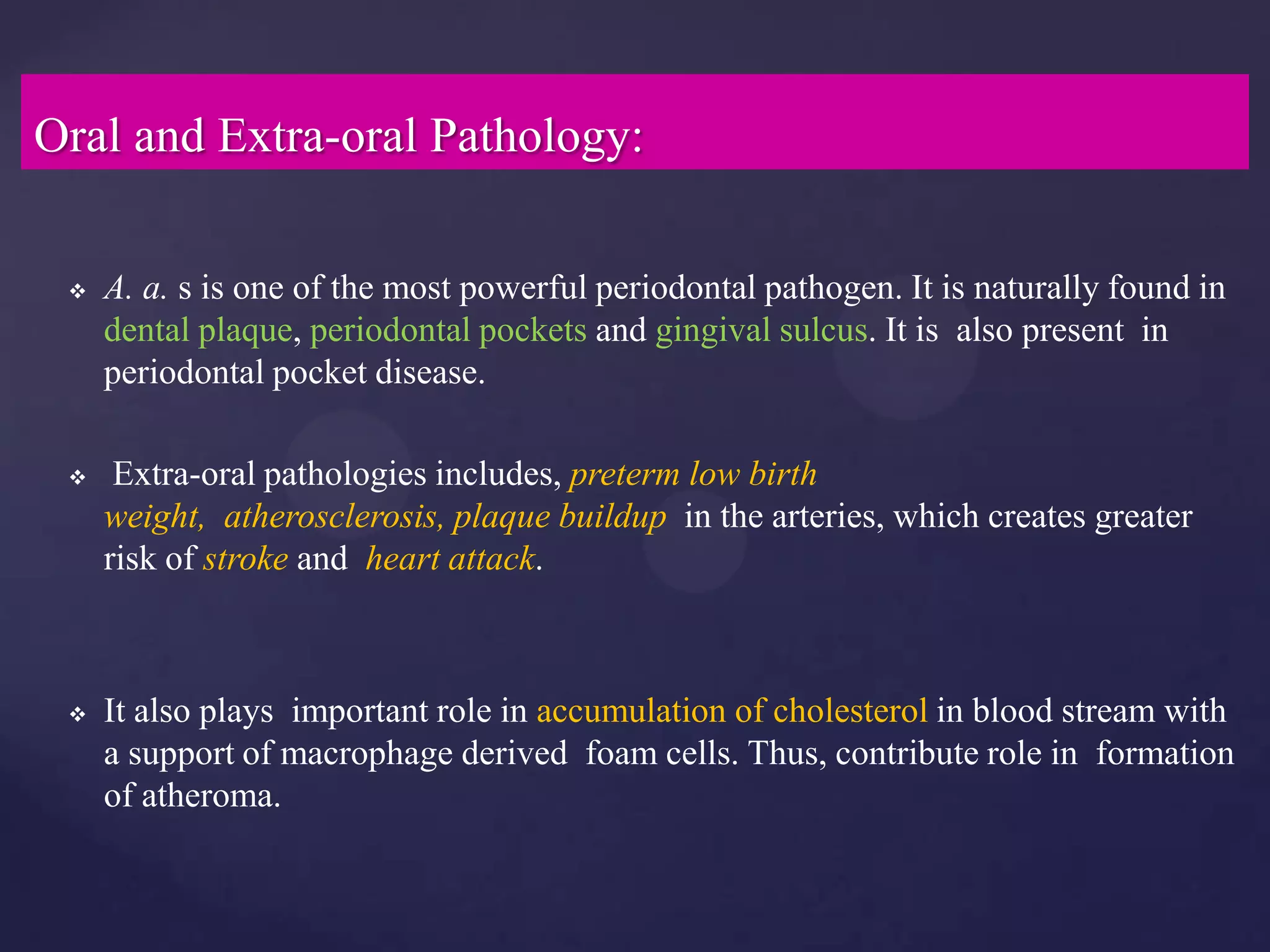 Oral and Extra-oral Pathology:

    A. a. s is one of the most powerful periodontal pathogen. It is naturally found in
     dental plaque, periodontal pockets and gingival sulcus. It is also present in
     periodontal pocket disease.

     Extra-oral pathologies includes, preterm low birth
     weight, atherosclerosis, plaque buildup in the arteries, which creates greater
     risk of stroke and heart attack.



    It also plays important role in accumulation of cholesterol in blood stream with
     a support of macrophage derived foam cells. Thus, contribute role in formation
     of atheroma.
 