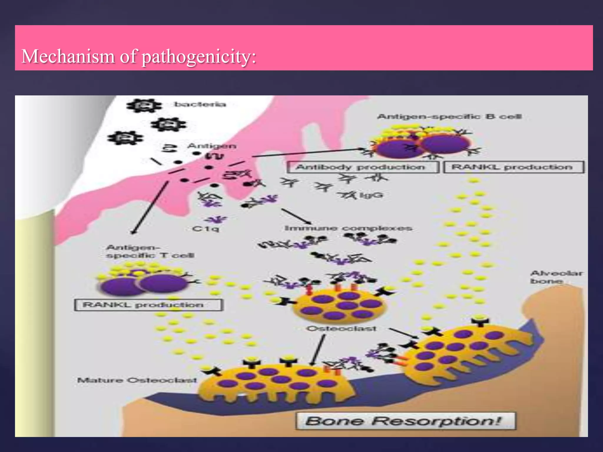 Mechanism of pathogenicity:
 