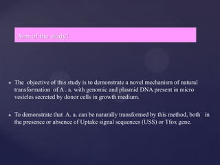 Aim of the study:




   The objective of this study is to demonstrate a novel mechanism of natural
    transformation of A . a. with genomic and plasmid DNA present in micro
    vesicles secreted by donor cells in growth medium.

   To demonstrate that A. a. can be naturally transformed by this method, both in
    the presence or absence of Uptake signal sequences (USS) or Tfox gene.
 