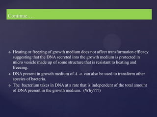Continue….




   Heating or freezing of growth medium does not affect transformation efficacy
    suggesting that the DNA secreted into the growth medium is protected in
    micro vesicle made up of some structure that is resistant to heating and
    freezing.
   DNA present in growth medium of A. a. can also be used to transform other
    species of bacteria.
   The bacterium takes in DNA at a rate that is independent of the total amount
    of DNA present in the growth medium. (Why???)
 
