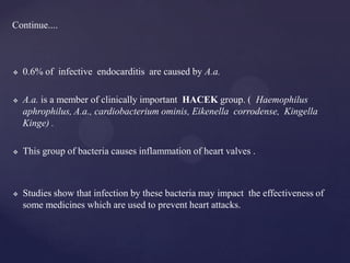 Continue....



   0.6% of infective endocarditis are caused by A.a.

   A.a. is a member of clinically important HACEK group. ( Haemophilus
    aphrophilus, A.a., cardiobacterium ominis, Eikenella corrodense, Kingella
    Kinge) .

   This group of bacteria causes inflammation of heart valves .



   Studies show that infection by these bacteria may impact the effectiveness of
    some medicines which are used to prevent heart attacks.
 