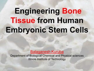 Engineering Bone
Tissue from Human
Embryonic Stem Cells
Balaganesh Kuruba
Department of Biological Chemical and Physical sciences
Illinois Institute of Technology

 