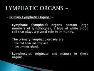  Primary Lymphatic Organs :-
◦ Lymphatic (lymphoid) organs contain large
numbers of lymphocytes, a type of white blood
cell that plays a pivotal role in immunity.
◦ The primary lymphatic organs are
 the red bone marrow and
 the thymus gland.
◦ Lymphocytes originate and mature in these
organs.
 
