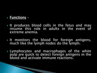  Functions –
 It produces blood cells in the fetus and may
resume this role in adults in the event of
extreme anemia.
 It monitors the blood for foreign antigens,
much like the lymph nodes do the lymph.
 Lymphocytes and macrophages of the white
pulp are quick to detect foreign antigens in the
blood and activate immune reactions.
 