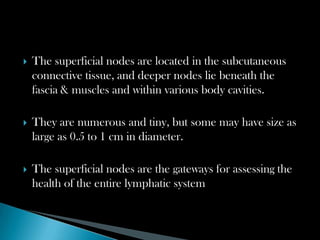  The superficial nodes are located in the subcutaneous
connective tissue, and deeper nodes lie beneath the
fascia & muscles and within various body cavities.
 They are numerous and tiny, but some may have size as
large as 0.5 to 1 cm in diameter.
 The superficial nodes are the gateways for assessing the
health of the entire lymphatic system
 