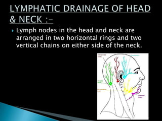  Lymph nodes in the head and neck are
arranged in two horizontal rings and two
vertical chains on either side of the neck.
 