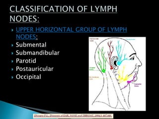 UPPER HORIZONTAL GROUP OF LYMPH
NODES:
 Submental
 Submandibular
 Parotid
 Postauricular
 Occipital
 