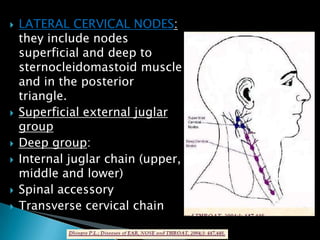  LATERAL CERVICAL NODES:
they include nodes
superficial and deep to
sternocleidomastoid muscle
and in the posterior
triangle.
 Superficial external juglar
group
 Deep group:
 Internal juglar chain (upper,
middle and lower)
 Spinal accessory
 Transverse cervical chain
 