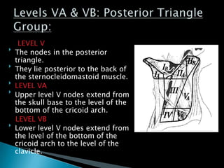 LEVEL V

The nodes in the posterior
triangle.

They lie posterior to the back of
the sternocleidomastoid muscle.

LEVEL VA

Upper level V nodes extend from
the skull base to the level of the
bottom of the cricoid arch.
LEVEL VB

Lower level V nodes extend from
the level of the bottom of the
cricoid arch to the level of the
clavicle.
 