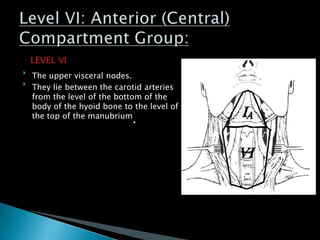 LEVEL VI

The upper visceral nodes.

They lie between the carotid arteries
from the level of the bottom of the
body of the hyoid bone to the level of
the top of the manubrium
.
 