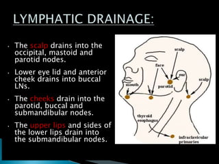 • The scalp drains into the
occipital, mastoid and
parotid nodes.
• Lower eye lid and anterior
cheek drains into buccal
LNs.
• The cheeks drain into the
parotid, buccal and
submandibular nodes.
• The upper lips and sides of
the lower lips drain into
the submandibular nodes.
 