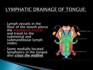• Lymph vessels in the
floor of the mouth pierce
the mylohyoid muscle
and travel to the
submental and
submandibular lymph
nodes.
• Some medially located
lymphatics in the tongue
also cross the midline.
 