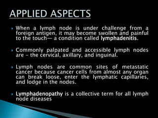  When a lymph node is under challenge from a
foreign antigen, it may become swollen and painful
to the touch— a condition called lymphadenitis.
 Commonly palpated and accessible lymph nodes
are - the cervical, axillary, and inguinal.
 Lymph nodes are common sites of metastatic
cancer because cancer cells from almost any organ
can break loose, enter the lymphatic capillaries,
and lodge in the nodes.
 Lymphadenopathy is a collective term for all lymph
node diseases
 