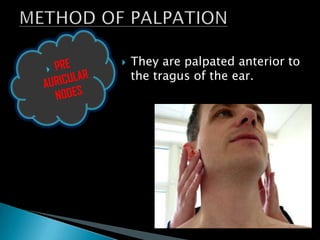  They are palpated anterior to
the tragus of the ear.
 