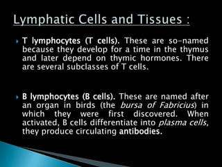  T lymphocytes (T cells). These are so-named
because they develop for a time in the thymus
and later depend on thymic hormones. There
are several subclasses of T cells.
 B lymphocytes (B cells). These are named after
an organ in birds (the bursa of Fabricius) in
which they were first discovered. When
activated, B cells differentiate into plasma cells,
they produce circulating antibodies.
 
