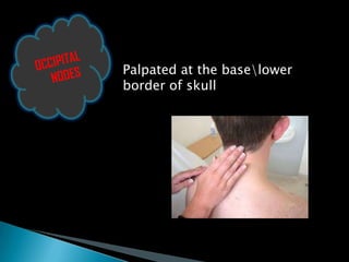 Palpated at the baselower
border of skull
 