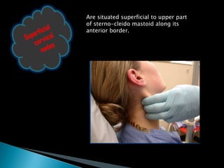 Are situated superficial to upper part
of sterno-cleido mastoid along its
anterior border.
 