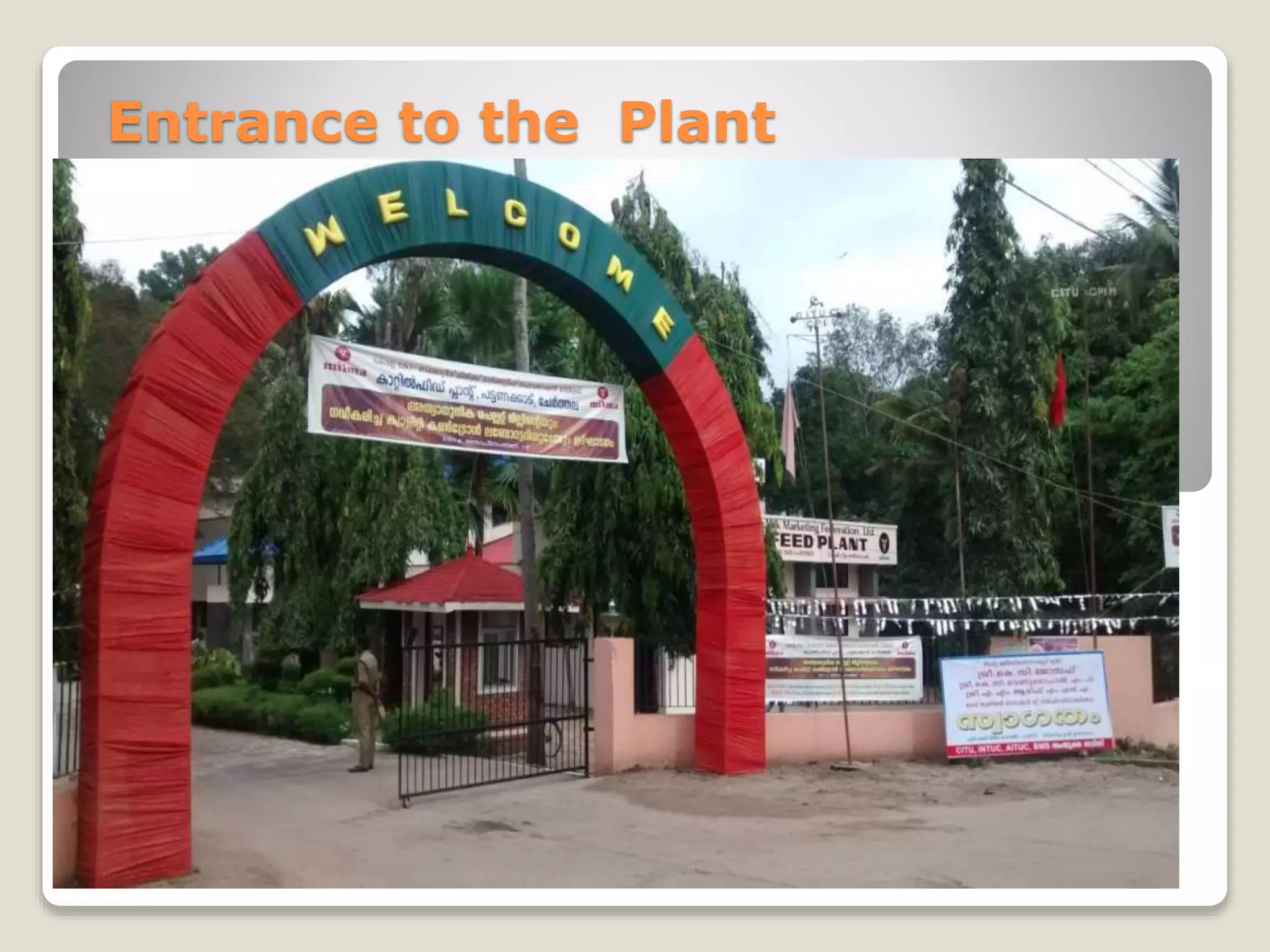 Entrance to the Plant 
 