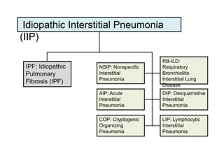 Idiopathic Interstitial Pneumonia 
(IIP) 
RB-ILD: 
Respiratory 
Bronchiolitis 
Interstitial Lung 
Disease 
DIP: Desquamati...