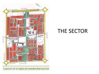 THE SECTOR 
 