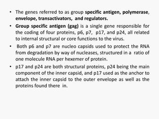 • The genes referred to as group specific antigen, polymerase,
envelope, transactivators, and regulators.
• Group specific antigen (gag) is a single gene responsible for
the coding of four proteins, p6, p7, p17, and p24, all related
to internal structural or core functions to the virus.
• Both p6 and p7 are nucleo capsids used to protect the RNA
from degradation by way of nucleases, structured in a ratio of
one molecule RNA per hexemer of protein.
• p17 and p24 are both structural proteins, p24 being the main
component of the inner capsid, and p17 used as the anchor to
attach the inner capsid to the outer envelope as well as the
proteins found there in.
 