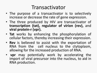 Transactivator
• The purpose of a transactivator is to selectively
increase or decrease the rate of gene expression.
• The three produced by HIV are transactivator of
transcription (tat), regulator of virion (rev), and
viral protein-r (vpr).
• Tat works by enhancing the phosphorylation of
cellular factors, thereby increasing their expression.
• Rev is believed to assist with the exportation of
RNA from the cell nucleus to the ctytoplasm,
allowing for the increased production of RNA.
• vpr may potentially work by accelerating the
import of viral precursor into the nucleus, to aid in
RNA production.
 