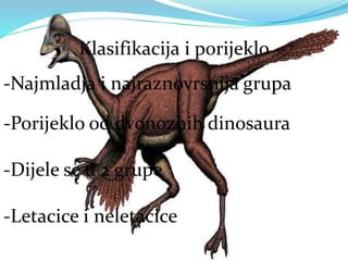 Klasifikacija i porijeklo
-Najmladja i najraznovrsnija grupa
-Porijeklo od dvonoznih dinosaura
-Dijele se u 2 grupe
-Letacice i neletacice
 