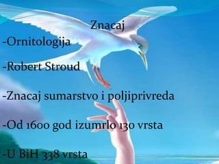 Znacaj
-Ornitologija
-Robert Stroud
-Znacaj sumarstvo i poljiprivreda
-Od 1600 god izumrlo 130 vrsta
-U BiH 338 vrsta
 