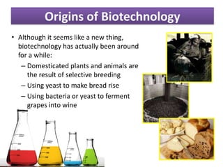 Origins of Biotechnology
• Although it seems like a new thing,
biotechnology has actually been around
for a while:
• Domesticated plants and animals are
the result of selective breeding
• Using yeast to make bread rise
• Using bacteria or yeast to ferment
grapes into wine
 
