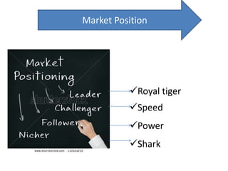 Market Position
Royal tiger
Speed
Power
Shark
 