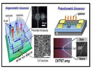 Nanobionic Sensor nanobiosensor and its application | PPTX