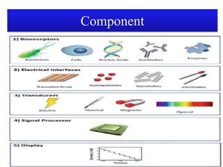 Nanobionic Sensor nanobiosensor and its application | PPTX